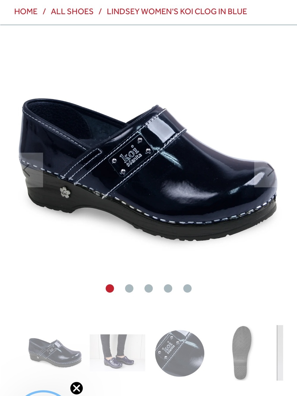 NWT Sanita Lindsey Women's Koi Clog in Blue

Size 42